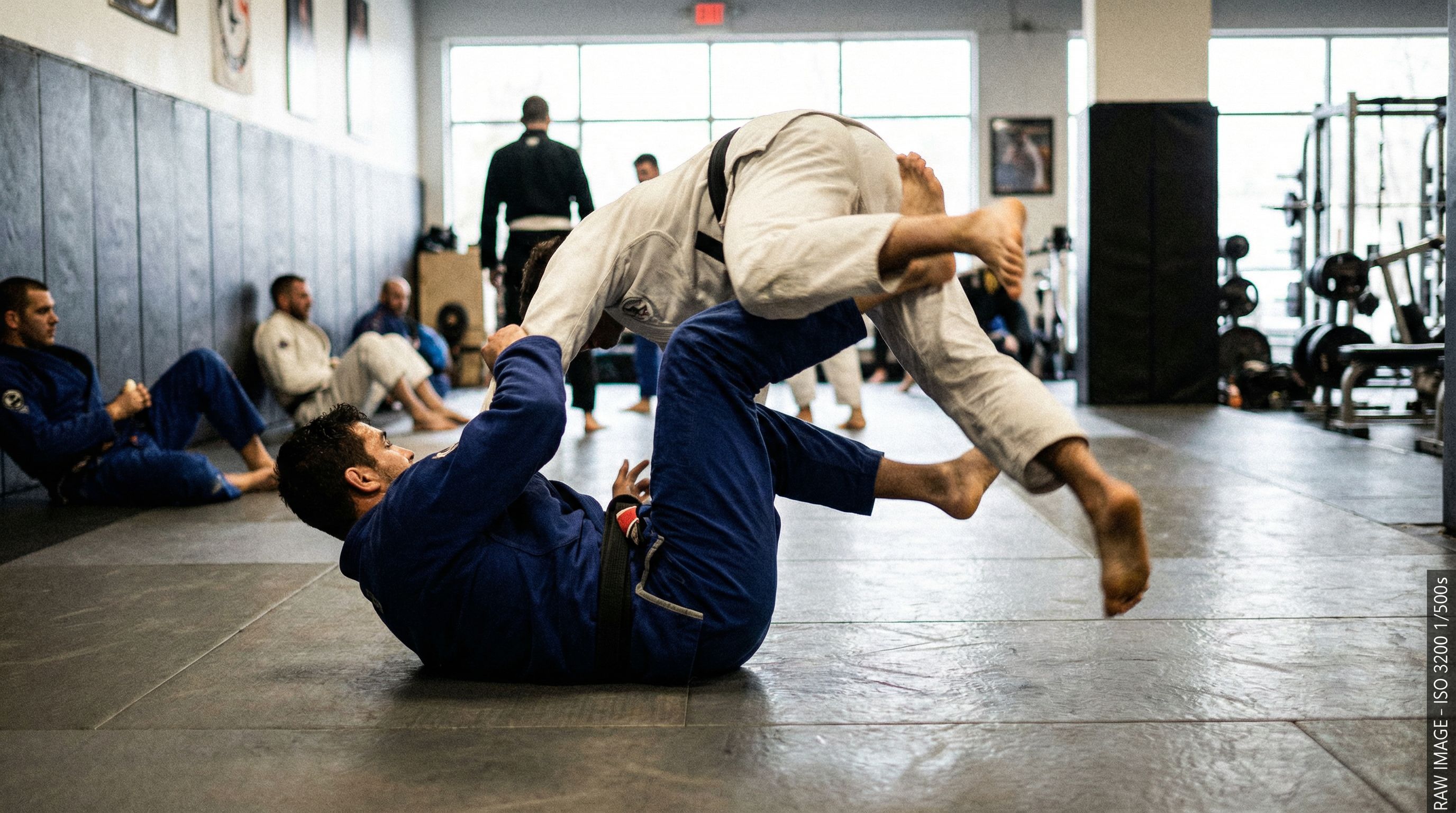 Raspagem Tesoura Perfeita