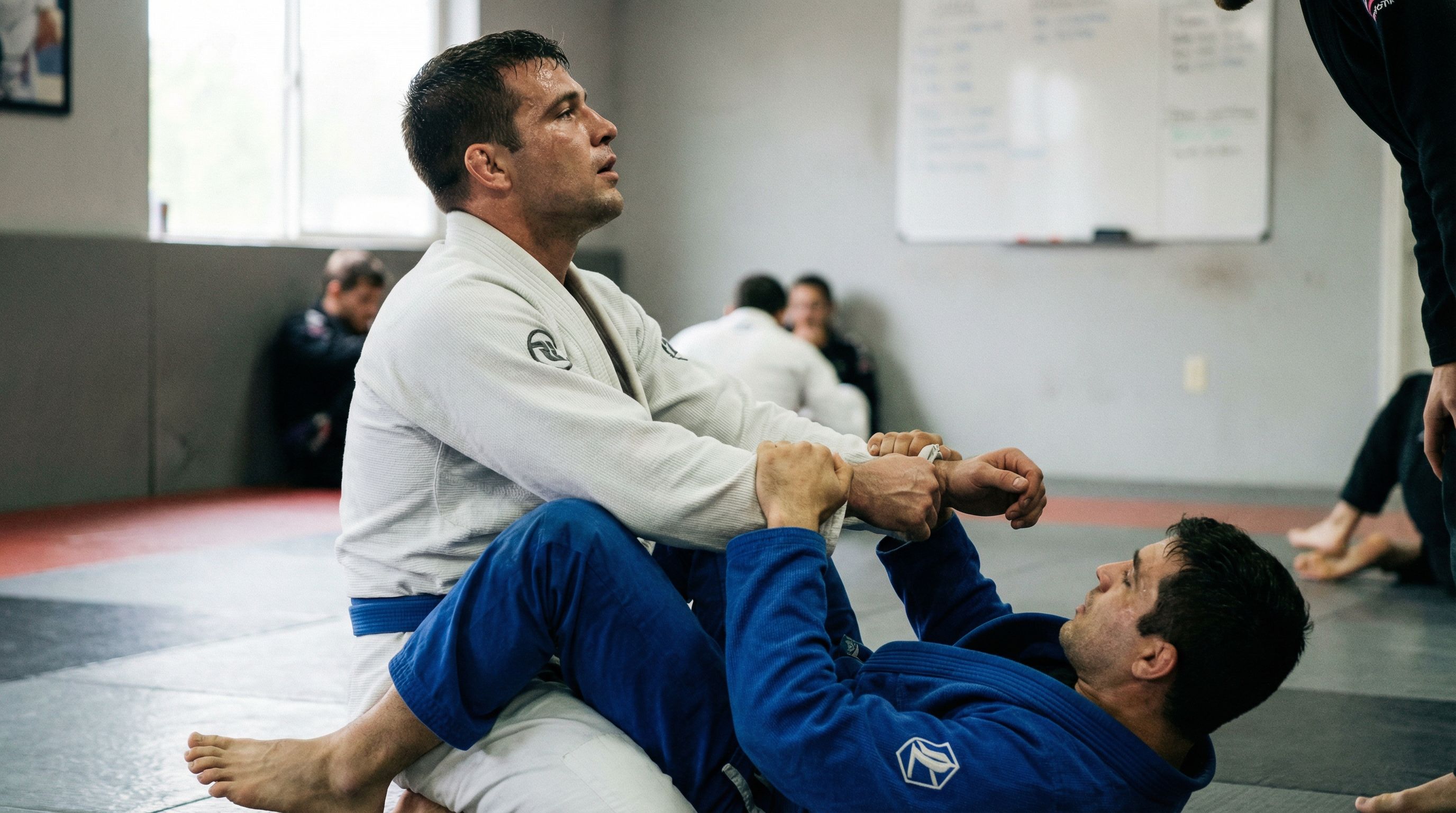 Postura Correta na Guarda